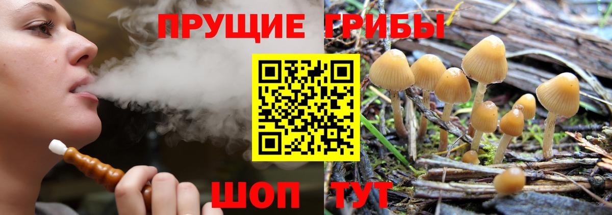 Галлюциногенные грибы GOLDEN TEACHER  Галлюциногенные грибы MAGIC MUSHROOMS  Сальск  Вход с VPN 